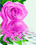Розовая роза, 40х50 см