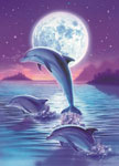 светящийся «Дельфины в лунном свете» XXL 200 шт