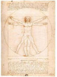 «Леонардо да Винчи. Витрувианский человек» 1000 шт