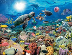 «Подводный мир» 2000 шт