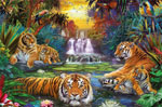 «Тигры у воды» 3000 шт