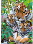 «Семья тигров» 1000 шт