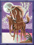 Раскрашивание по номерам «Лошадь с жеребенком»