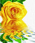Желтая роза, 40х50 см