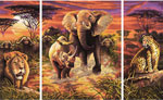 Триптих Африка, 50х80 см