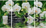 Триптих цветы  " Wellness-Oase",  50х80 см